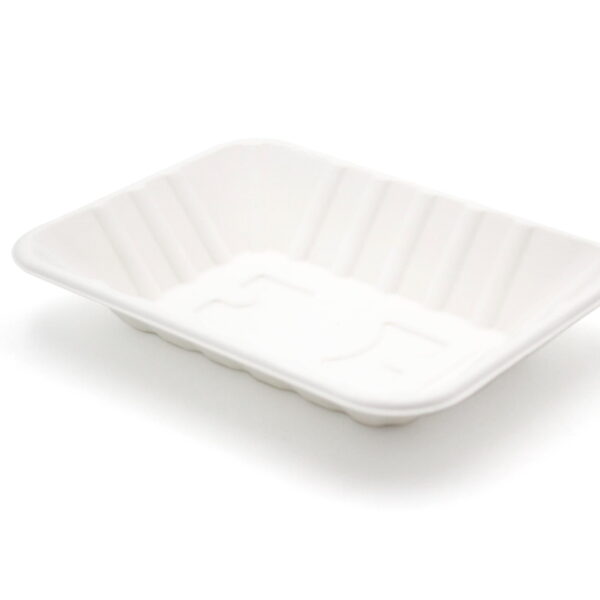 Bagasse Chip Trays 7.5 inch deep qty 500 GG