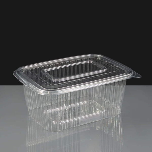 150cc Clear Hinged Salad Container qty 500
